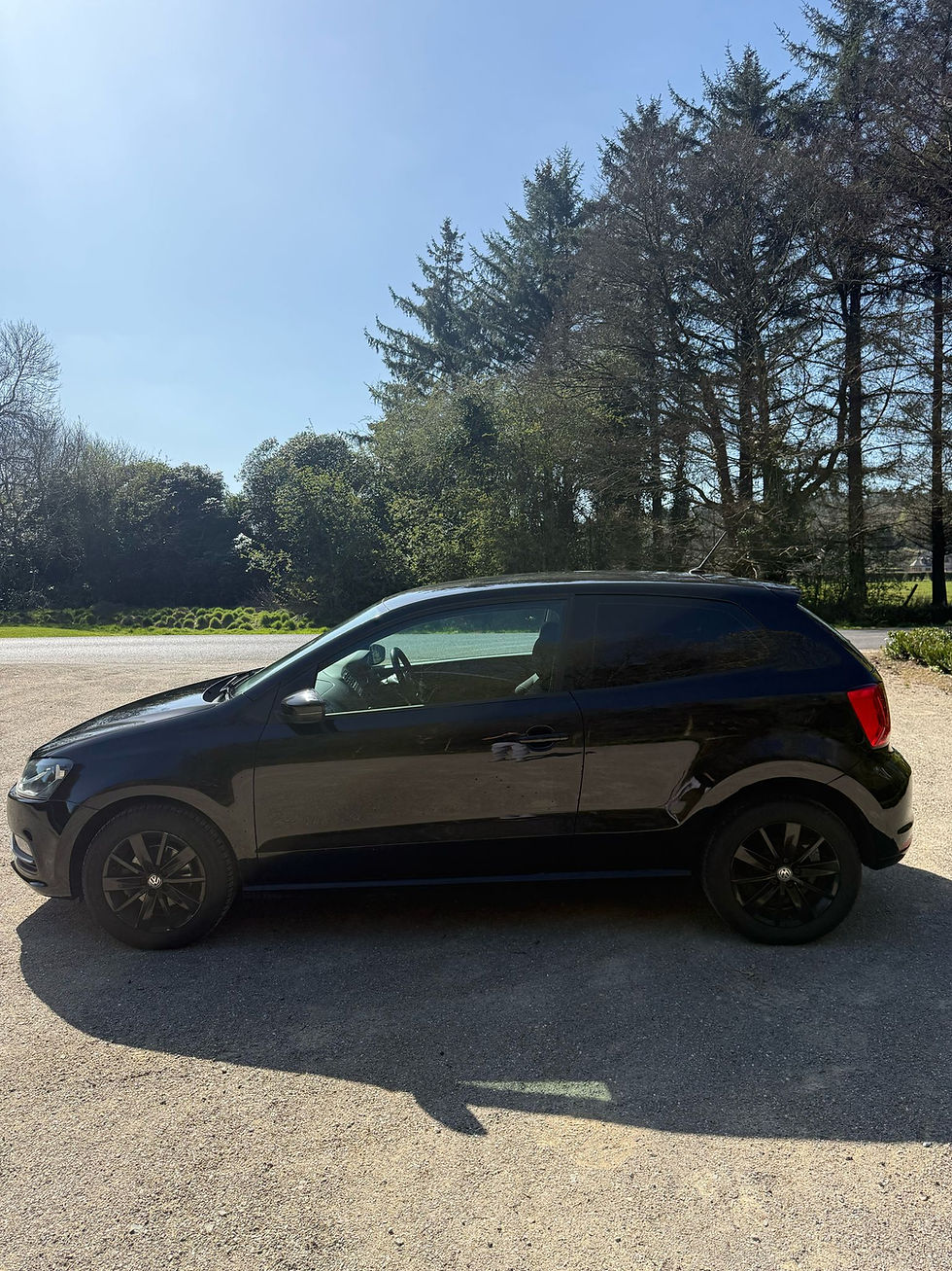 Thumbnail: Polo 1.0 — 2016