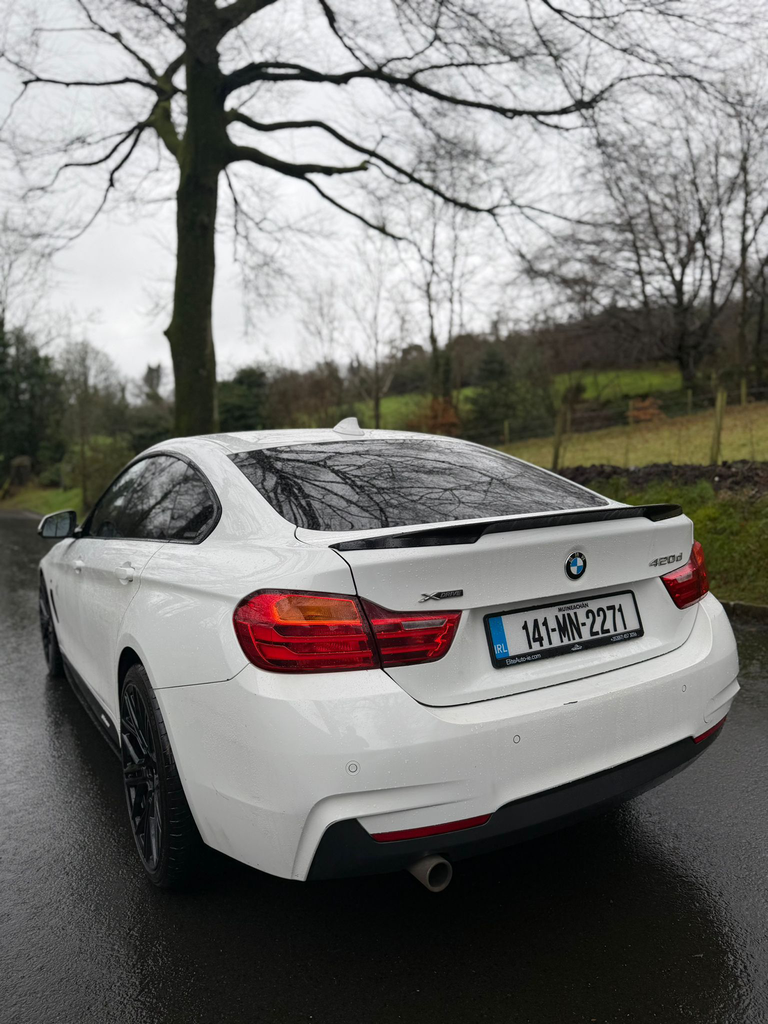 BMW 420d M Sport xDrive Auto gallery image 4