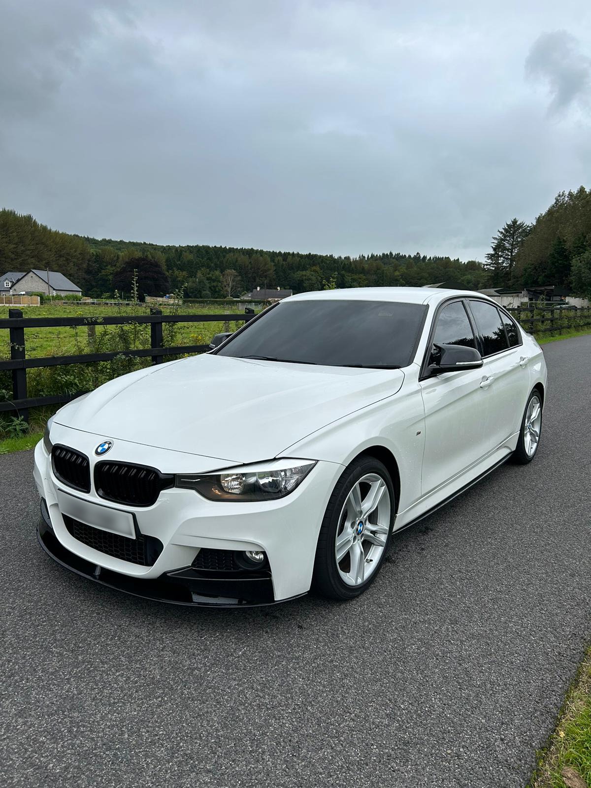 BMW 3 SERIES Sport M Performance Auto gallery image 7