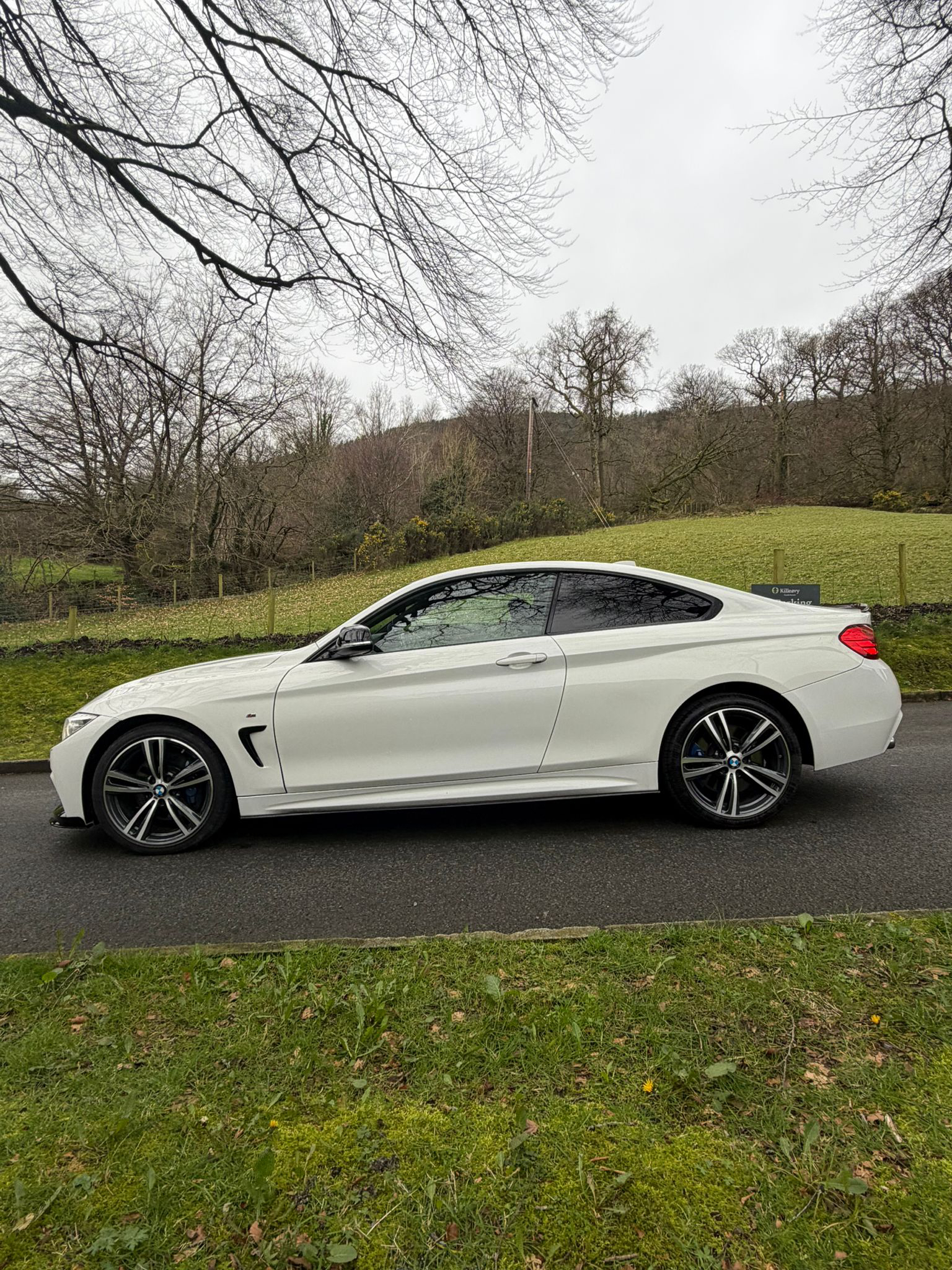 BMW 420d M Sport xDrive Auto gallery image 8