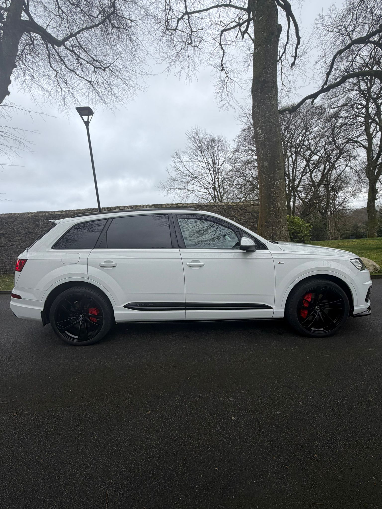 Audi Q7 S Line Quattro 3.0 TDI M gallery image 11