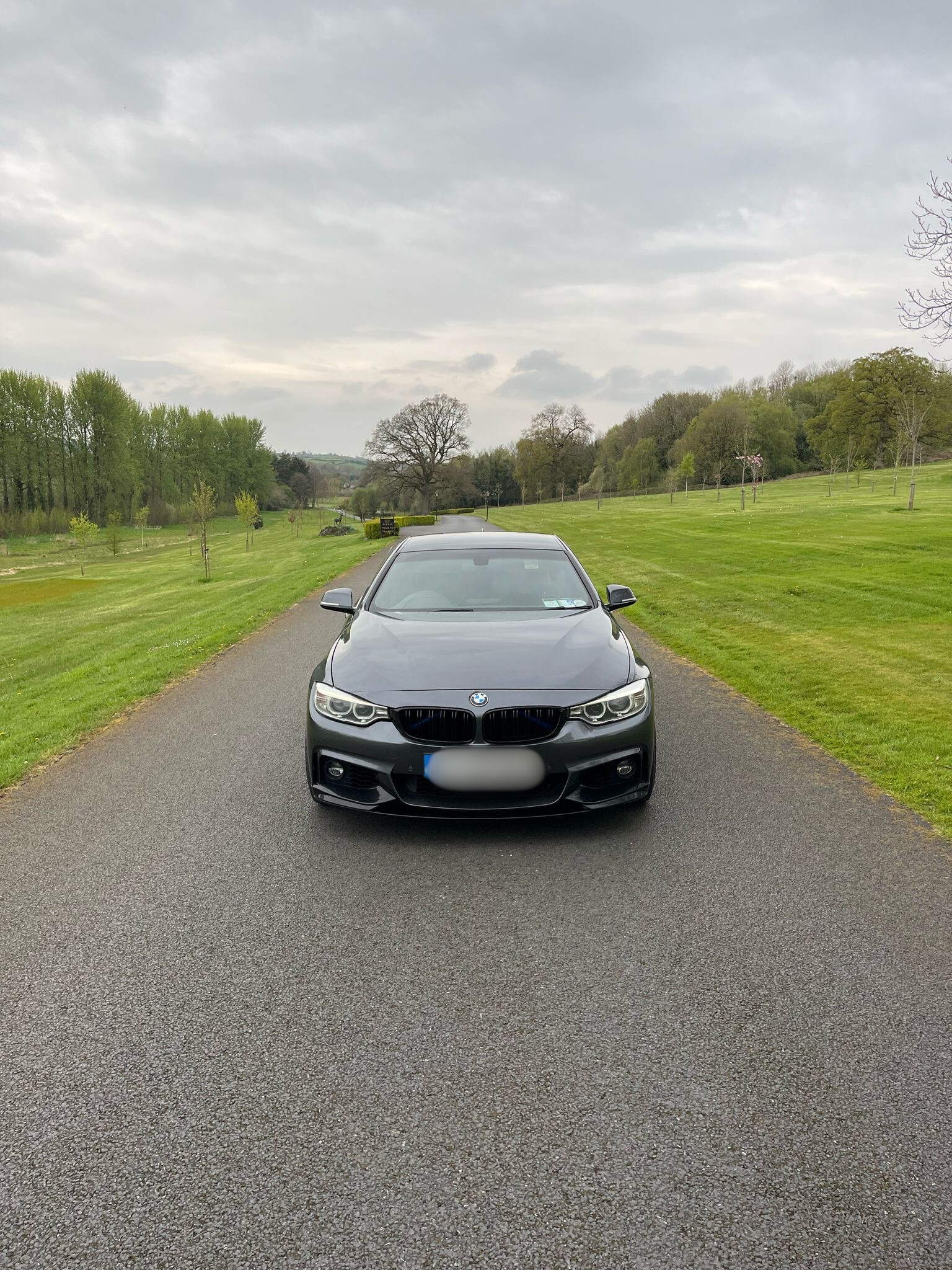 BMW 4 Series M Sport Auto gallery image 2