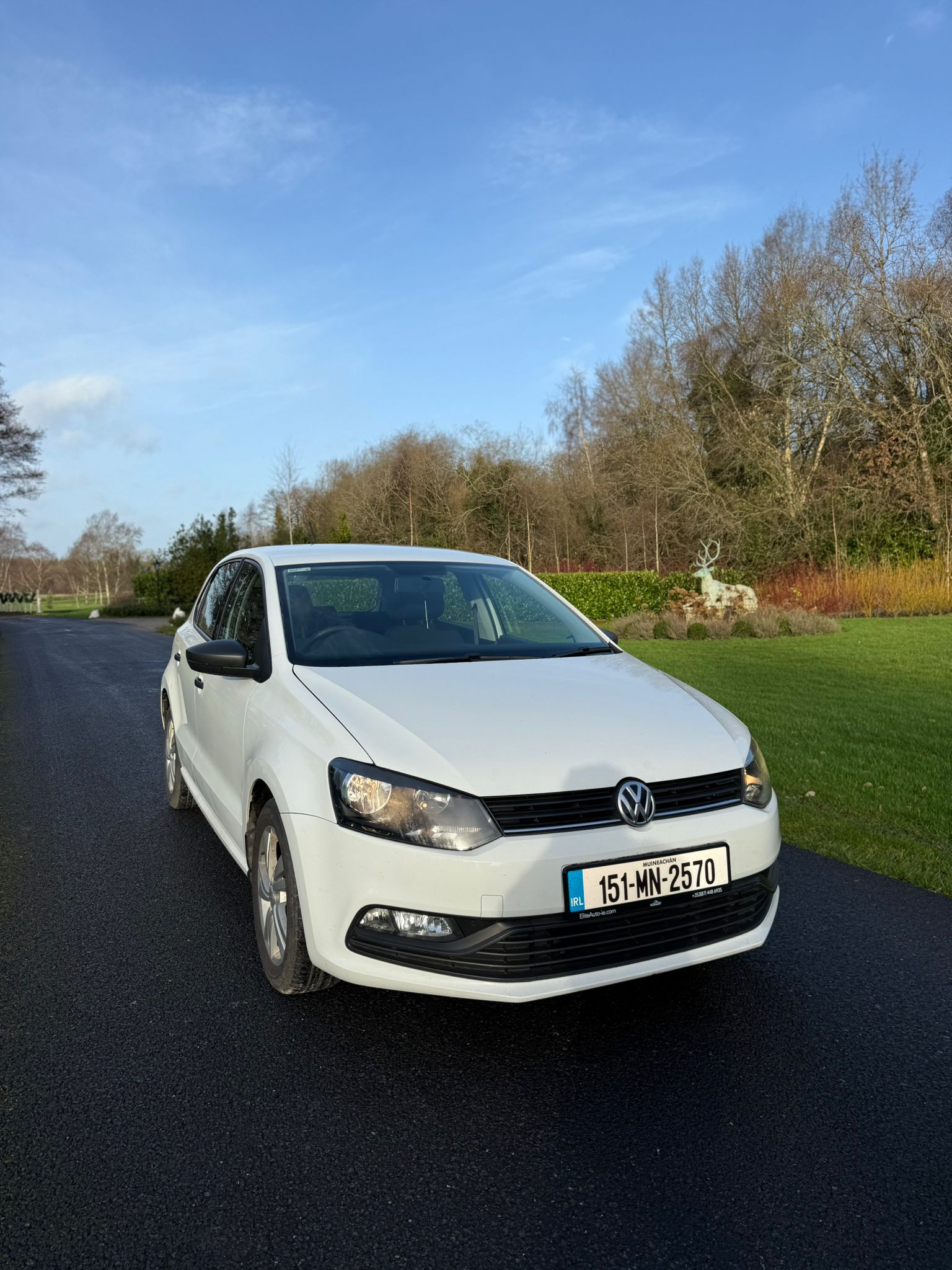Volkswagen Polo 1.0 gallery image 3