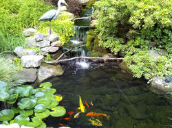 IMG_20120711_182423.jpg