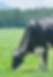 3878003_s.jpg