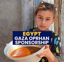 Copy of Copy of Copy of Copy of Copy of Copy of Copy of Copy of Copy of Copy of Copy of Co