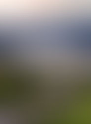 End of semester blues