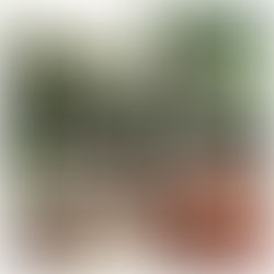 A Destination Wedding in Walla Walla