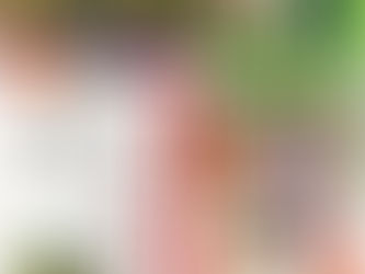 11/23(日)柴又帝釈天様名庭『邃渓園』