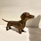 Teckel hond voor decoratie