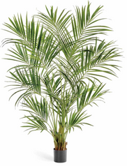 PALMIER KENTIA NATUREL DE LUXE PLANTE ARTIFICIELLE