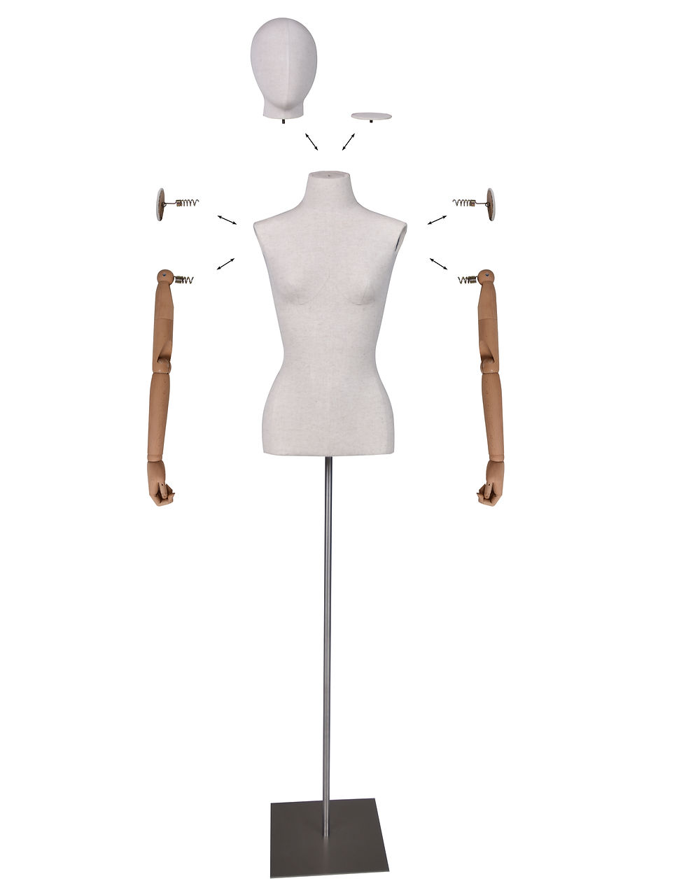 Assemble your own buste