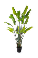 STRELITZIA (PALMIER DU VOYAGEUR) plante artificielle