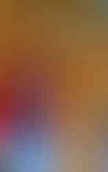 Busts christmas shopping