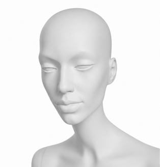 Realistic head
