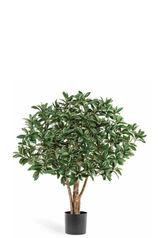 FUSAIN DU JAPON EN BUISSON PLANTE ARTIFICIELLE