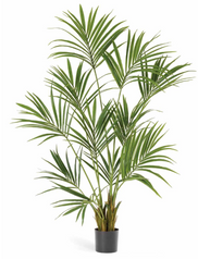 PALMIER KENTIA NATUREL PLANTE ARTIFICIELLE