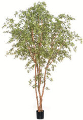 ERABLE DU JAPON 'BUTTERFLY' plante artificielle