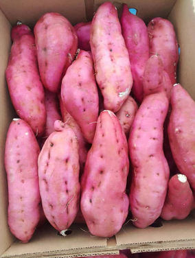 Box of fresh pink sweet potatoes