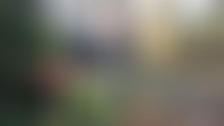 Waarom in het najaar naar de Ardennen?