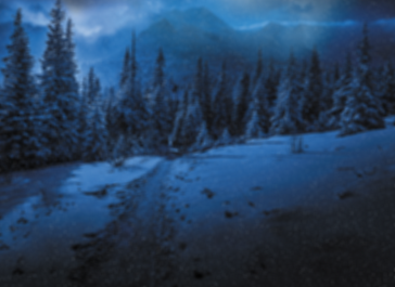 Cover-Backgroundsmaller_edited.png