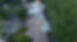 IMG_6637.jpeg