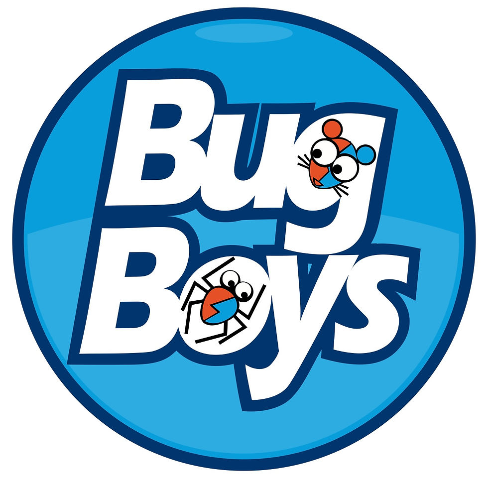 Bug Boys
