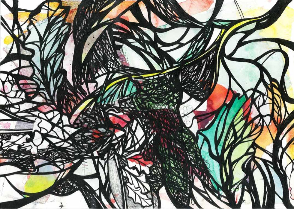 435184333_1239123700808009_8650114101982396218_n