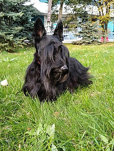 image-2020-10-15 22_07_23.jpg
