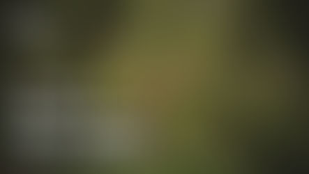 What's Happening for November 3, 2022