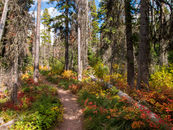 _MG_5175.jpg