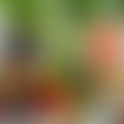 This Carb Will Help You Lose Weight