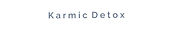 karmic detox publishing