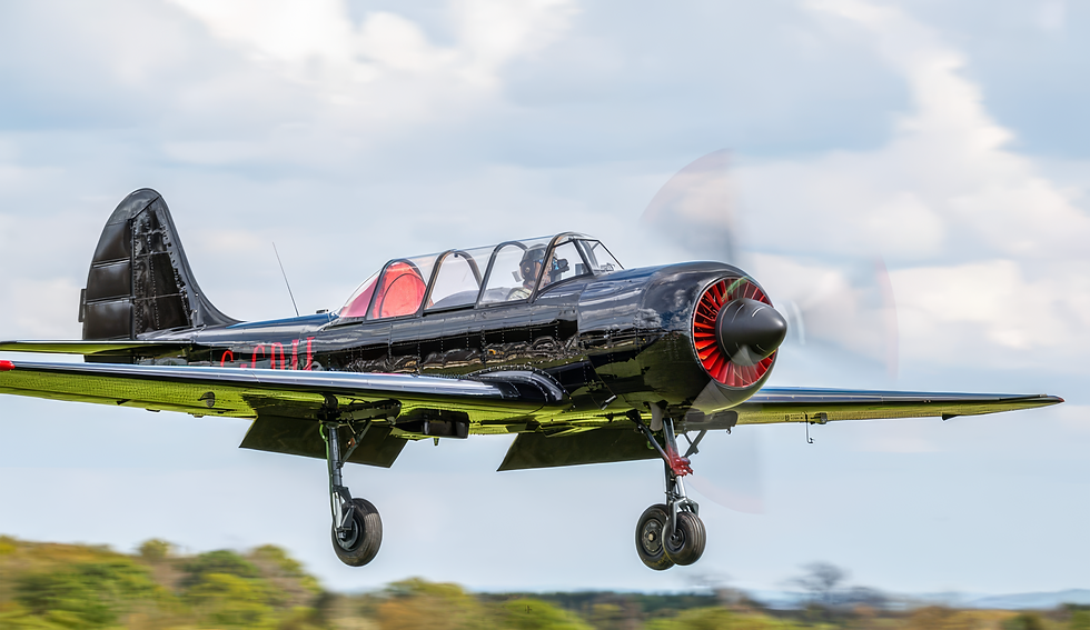 Yakovlev Yak 52 G-CDJJ