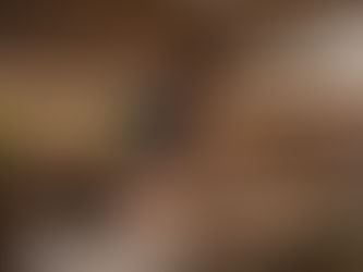 理健康新視野:身心調理的完整指南