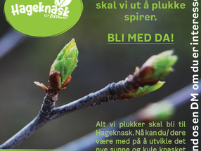 Hageknask 2021