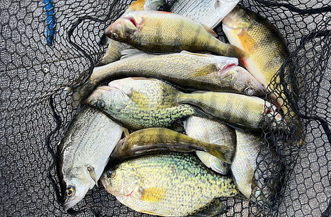 Castle Rock Mixed Bag