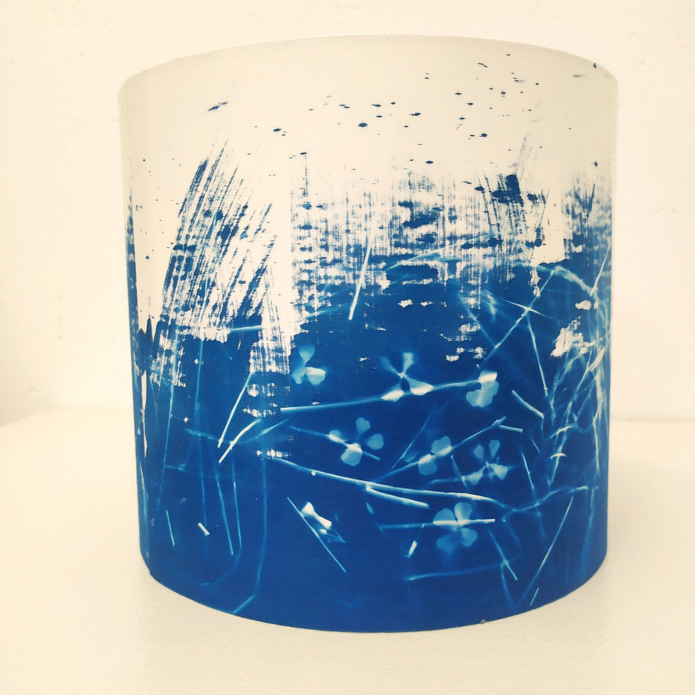 Thumbnail: Wee Vole cyanotype lampshade