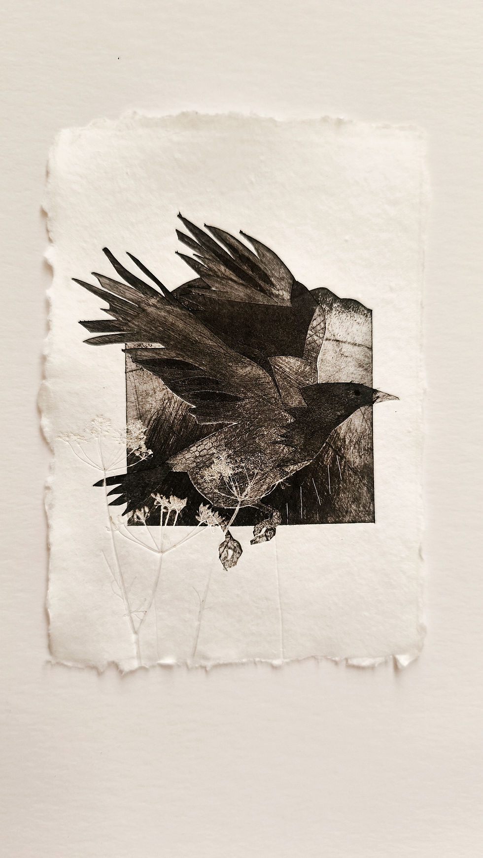 Thumbnail: Flying Crow 1