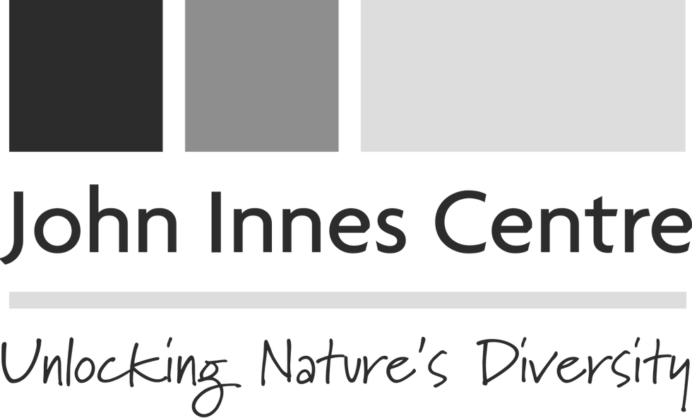 Autumn Clock Club 2026 Norwich