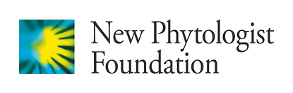 New Phyt Foundation.png