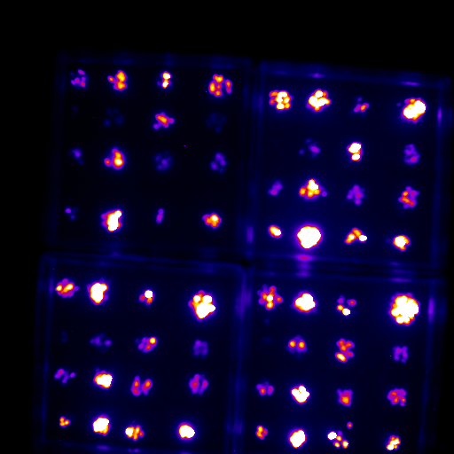 Example Luc data.gif