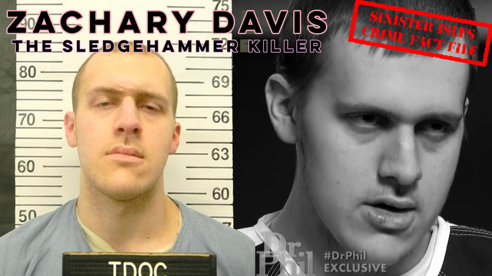 Former school pal of sledgehammer killer Zachary Davis speaks