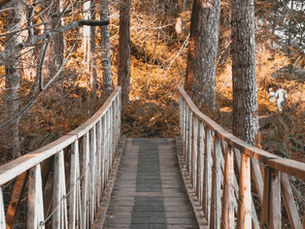 Bridge in an autumn forest