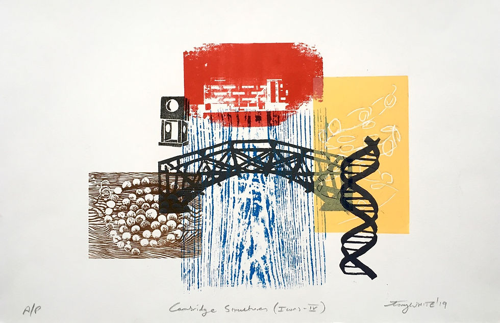 Tony White - Cambridge Structures (Icons-IV)