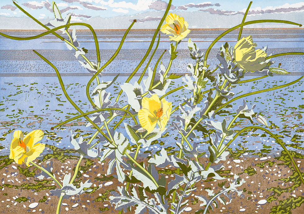 Ivy Smith - Horned Poppy at Snettisham - Original Linocut