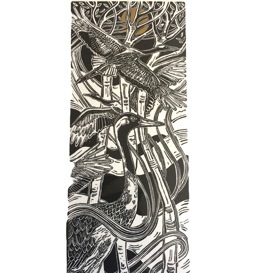 Jenny Portlock - Which Way? - Woodcut - Unframed