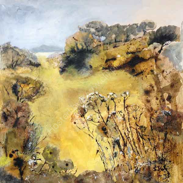 Sue Walker