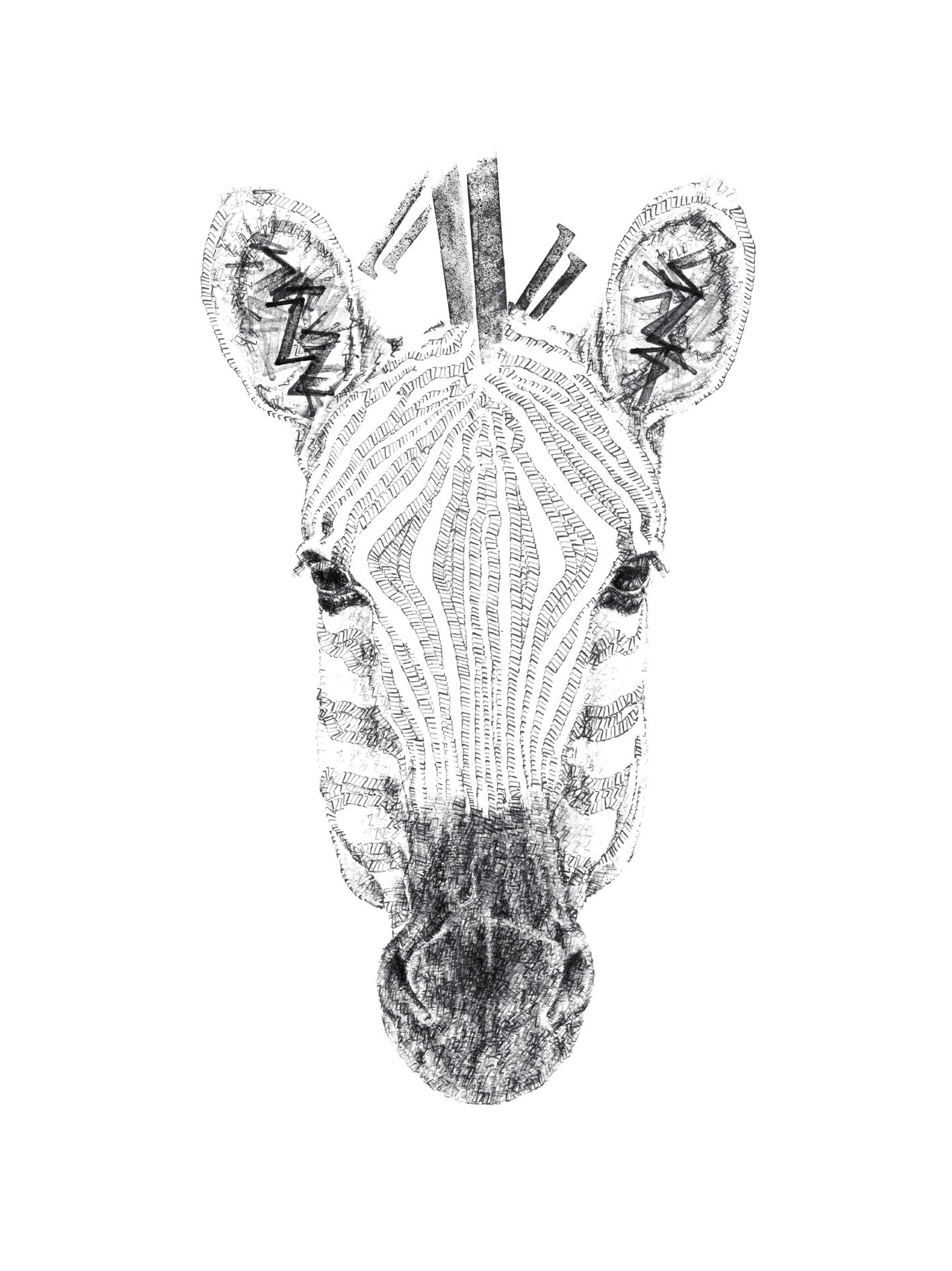 Daisy Courtauld - Z for Zebra