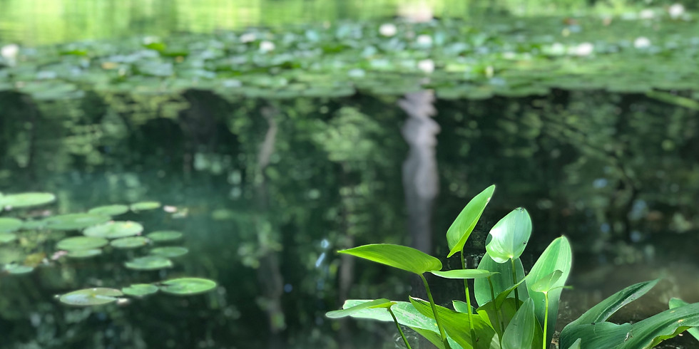mindfulness at the mt. cuba center